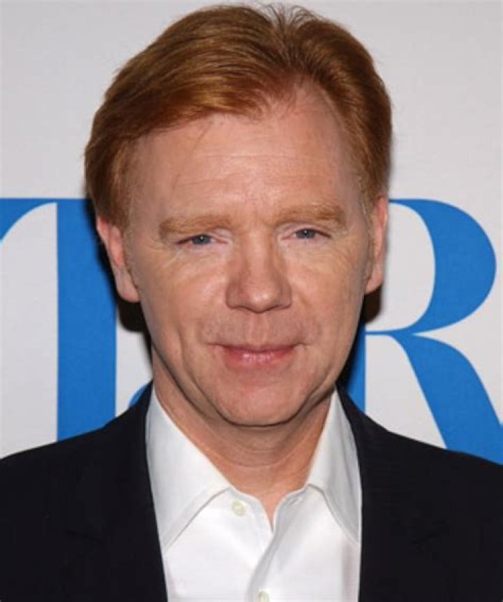 David Caruso: Talented Actor And TV Icon